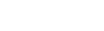 NV Casino Software