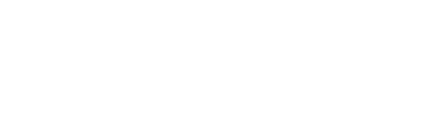 NV Casino Provider